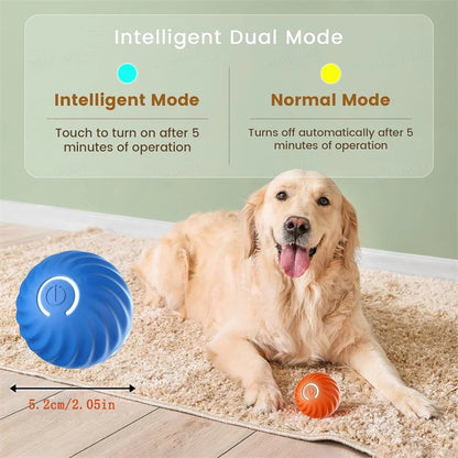 Interactive Automatic Pet Ball — USB Rechargeable Moving Toy for Cats & Dogs