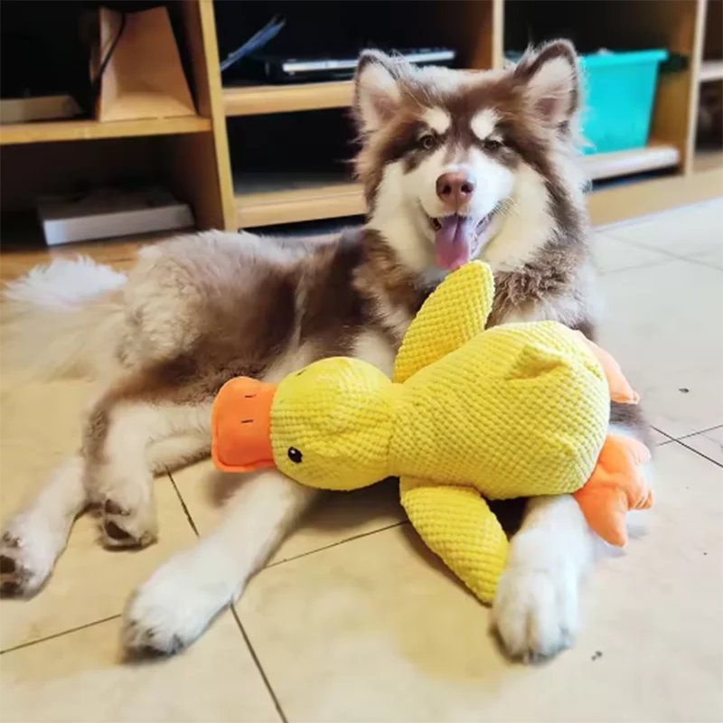 Duck Family Plush Squeaky Toy for Dogs & Cats