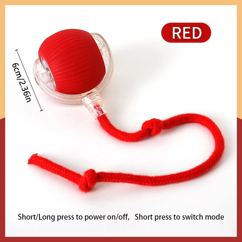 Interactive Automatic Pet Ball — USB Rechargeable Moving Toy for Cats & Dogs