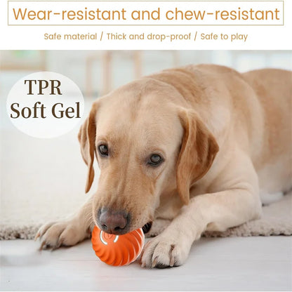 Interactive Automatic Pet Ball — USB Rechargeable Moving Toy for Cats & Dogs