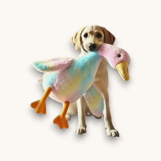 Giant Duck Plush Toy for Dogs & Cats — 50cm Anxiety Relief Companion